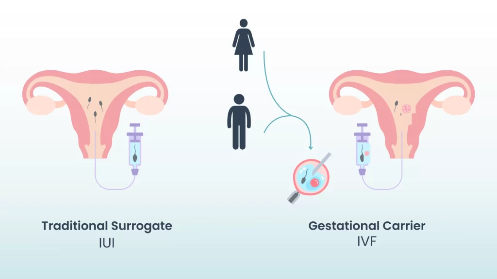 a graphic side-by-side comparison of the process of surrogacy for traditional and gestational surrogates