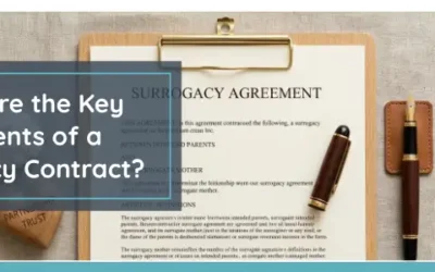 What Are the Key Elements of a Surrogacy Contract?